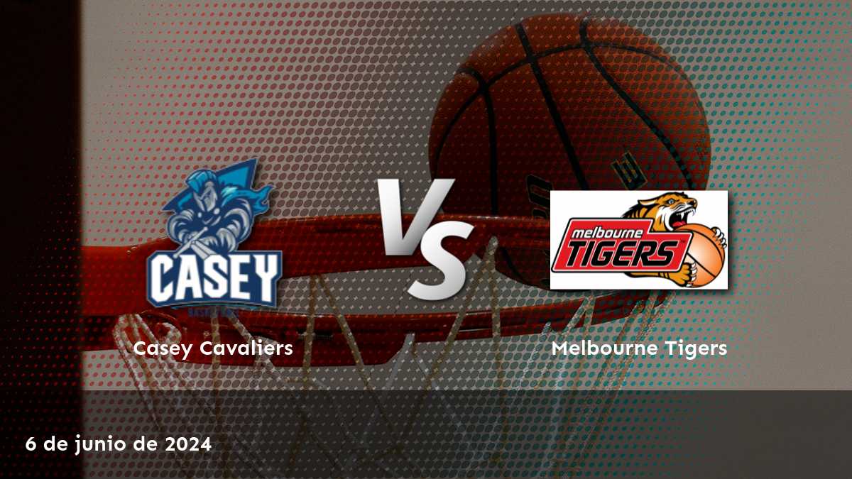 Melbourne Tigers vs Casey Cavaliers: Análisis y predicciones para el partido de baloncesto NBL1 South el 6 de junio de 2024.