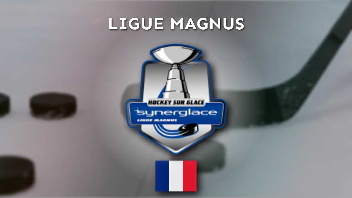 Ligue Magnus: Análisis de la temporada actual, destacando los equipos que han mejorado significativamente y aquellos que han declinado.